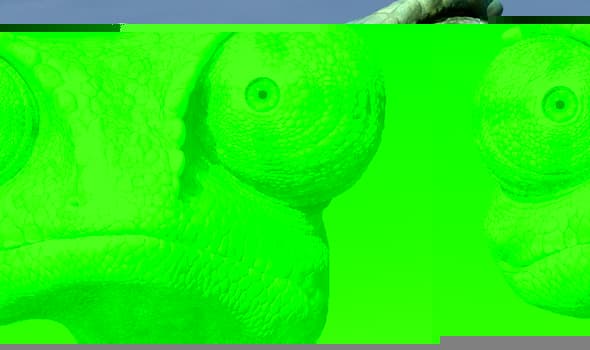 rango-1